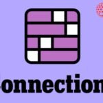 connections hint