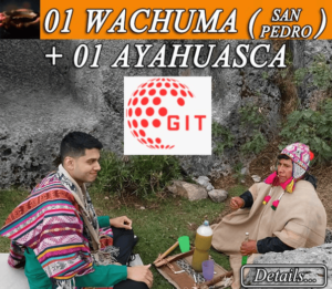 ayahuasca retreat