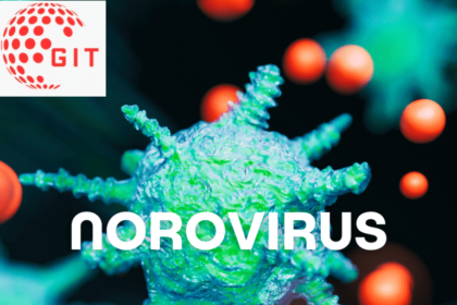 Norovirus 2024