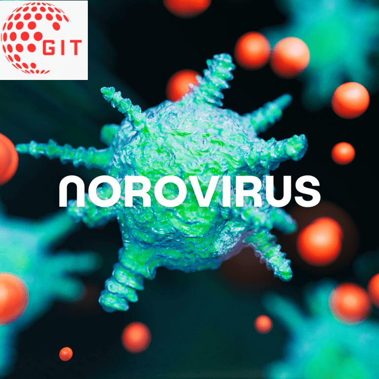 Norovirus 2024